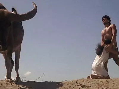 بیدمشک صورتی زیبا به انگشت نیاز سکس کارتونی انیمیشن دارد