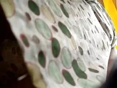 زن جوان تنها و برهنه فيلم سكس انيميشن است