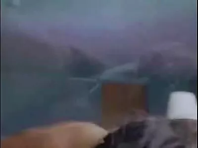 نوجوان سکسی برای اولین بار فیلم سکس انمیشن مکنده